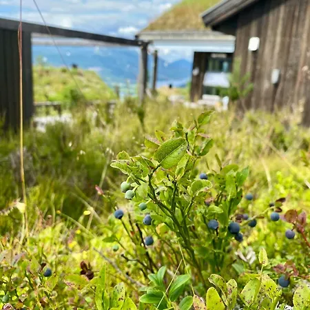 Enjoy Family Time In Beautiful Nature Semesterbostad