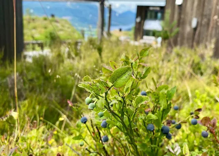 Enjoy Family Time In Beautiful Nature Tatil Evi